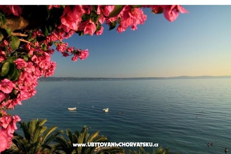 Apartmány Palme – foto 11