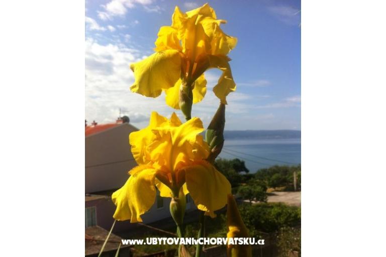 Apartmány SARA – foto 13