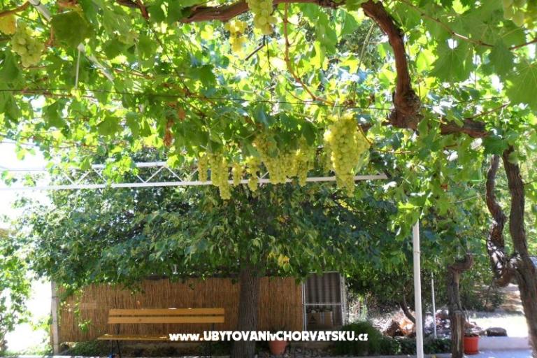 Apartmány DAMA – foto 9