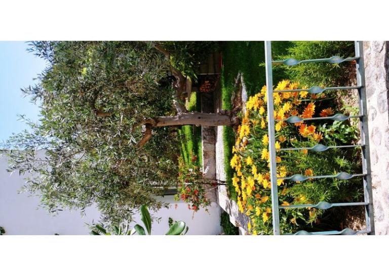 Apartmány Mršić – foto 6