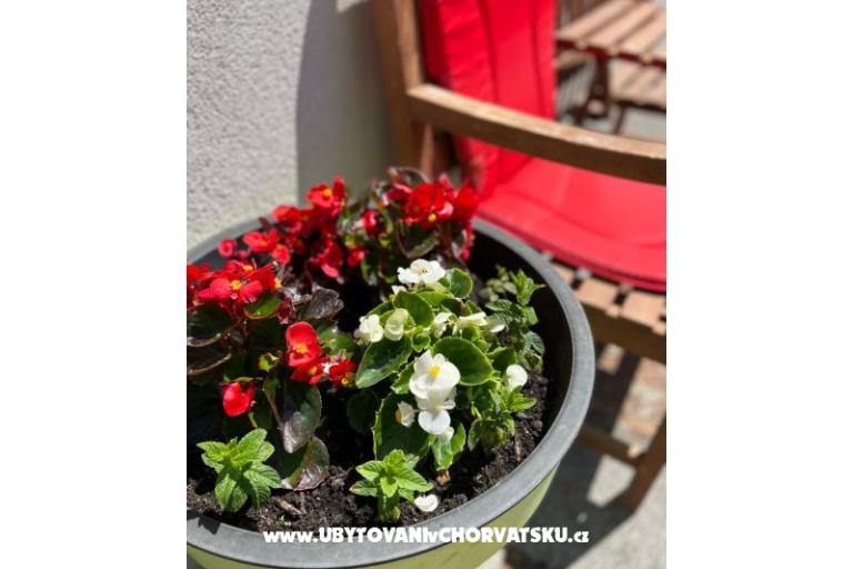 Apartmán lux with garden – foto 20