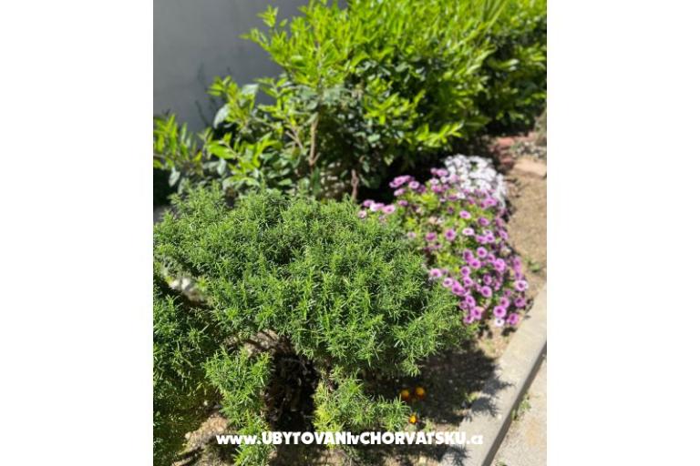 Apartmán lux with garden – foto 24