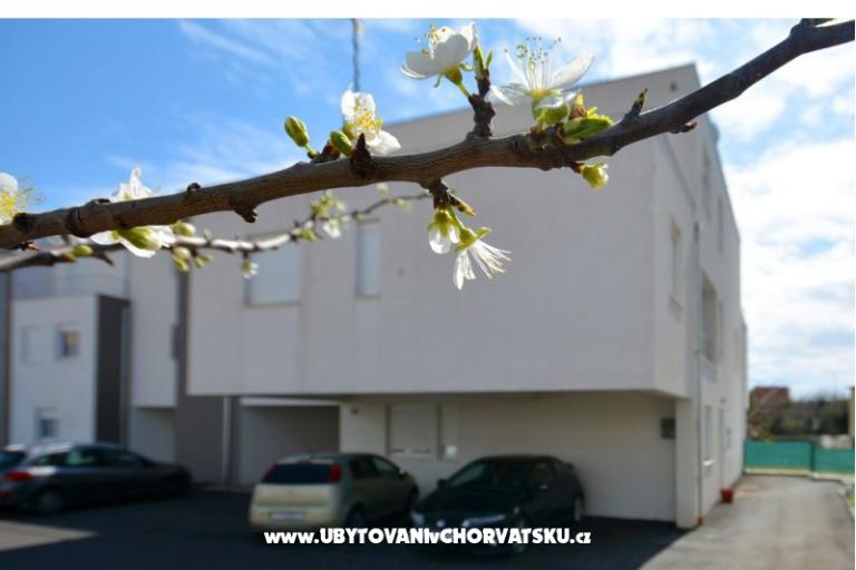 Apartmán lux with garden – foto 26