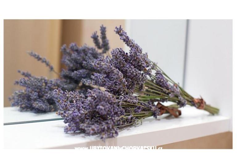 Apartmány King – foto 10