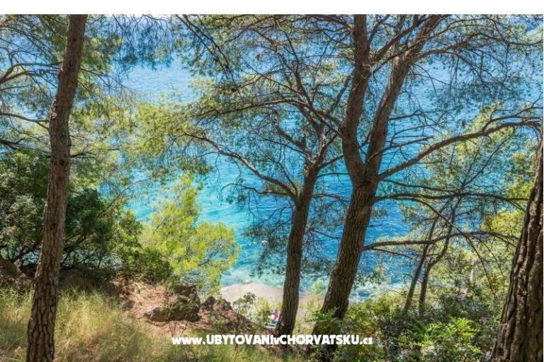 Apartmán Lavica Seaside – foto 16