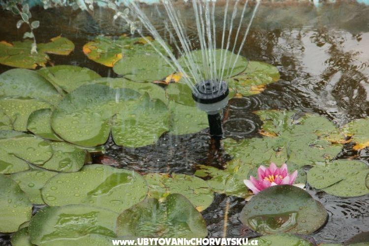 Beach Apartmány Toni – foto 16