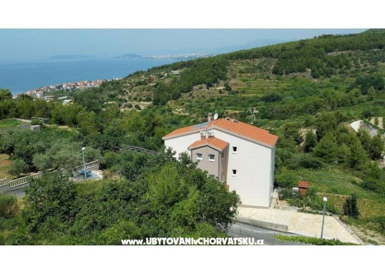 Carso Olea – foto 3