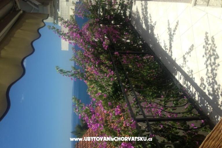 Apartmán Gusic – foto 12