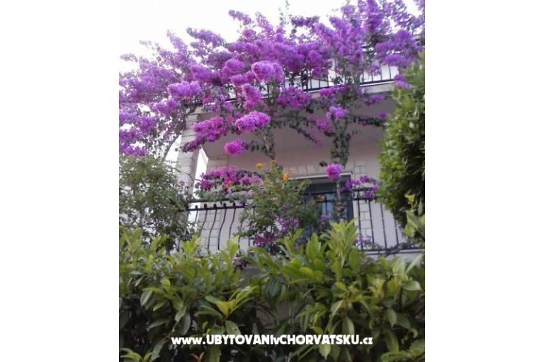 Apartmán Gusic – foto 8