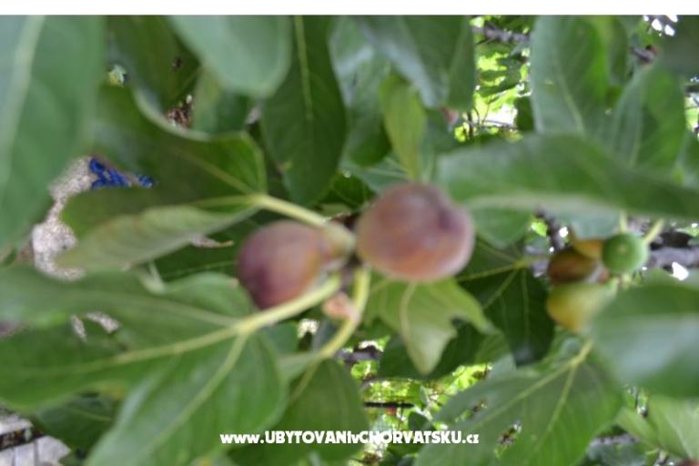 Apartmány Lera – foto 7