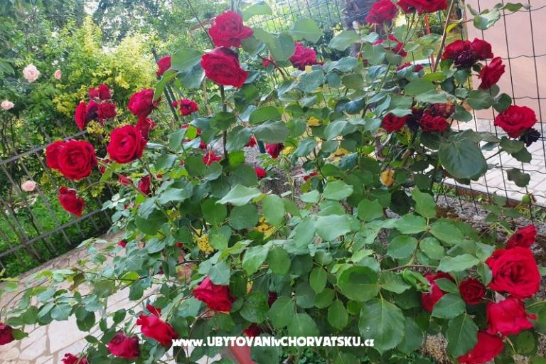 Apartmány Kero – foto 15