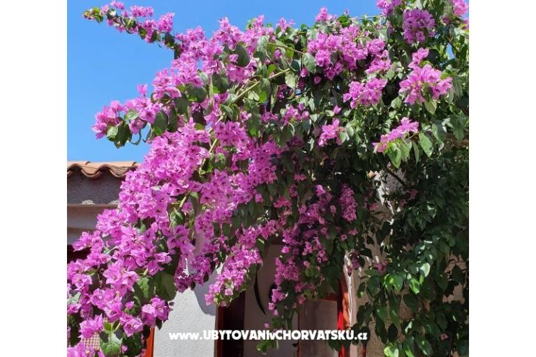 Apartmány Kero – foto 3