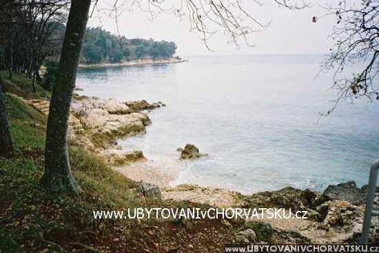 Dům Zikovic – foto 2