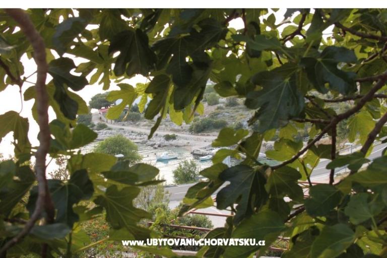 Apartmán Brnistra – foto 16