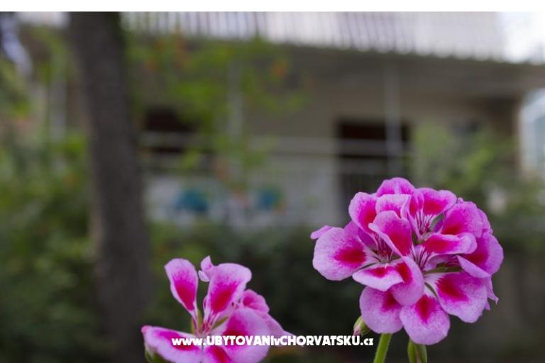 Apartmány Porat - PRIMOŠTEN – foto 2