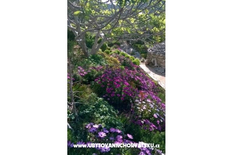 Apartmány   Luka – foto 10