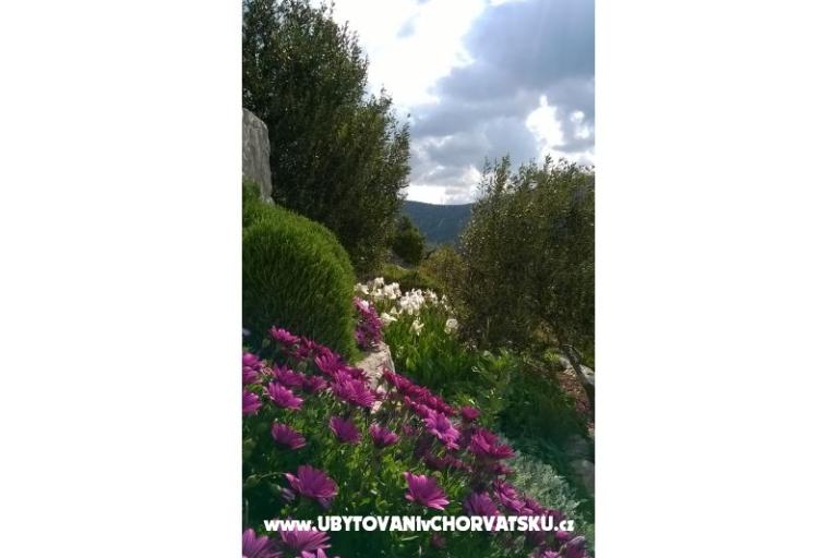 Apartmány   Luka – foto 11