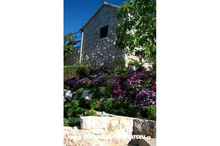 Apartmány   Luka – foto 6