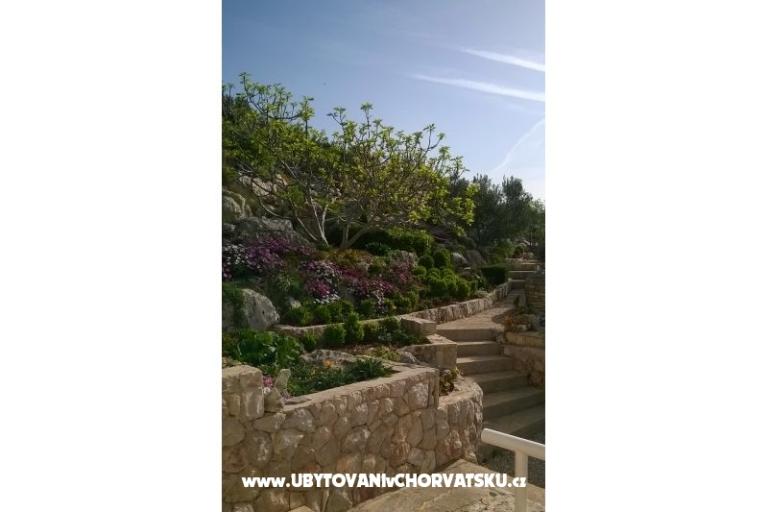 Apartmány   Luka – foto 7