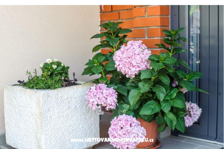 Apartmány Andreja – foto 3