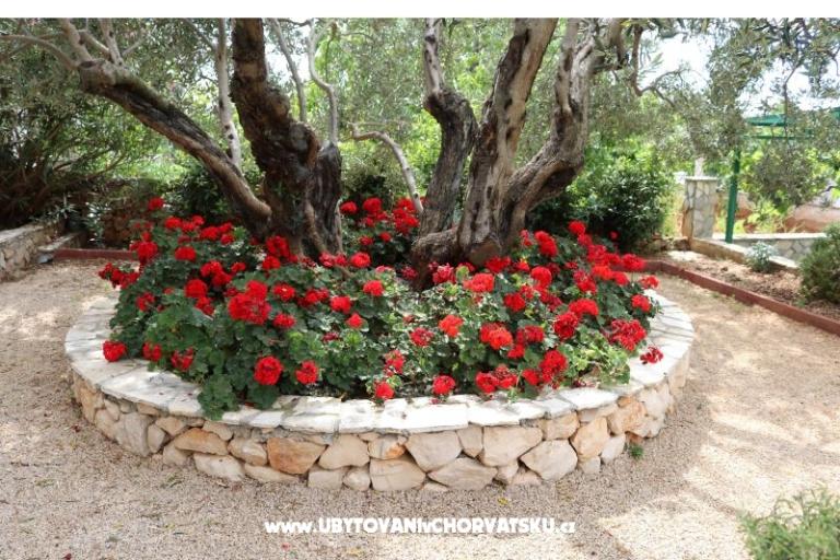 Apartmány Bilokapić – foto 12