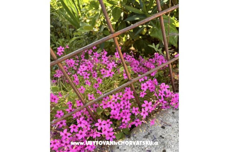 Apartmány Šarin – foto 19