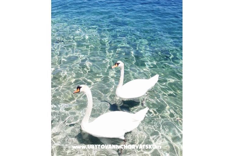 Apartmány Šarin – foto 21