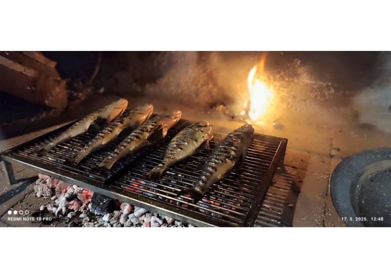 Apartmány Svirčić – foto 10