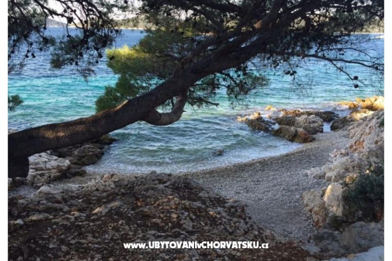 Apartmány Zorka Primošten – foto 14