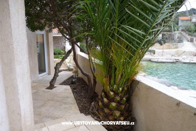 Villa Ivana  – foto 7