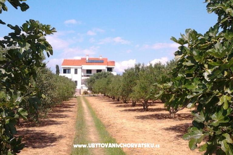 Apartmány Vesna a Ante – foto 10