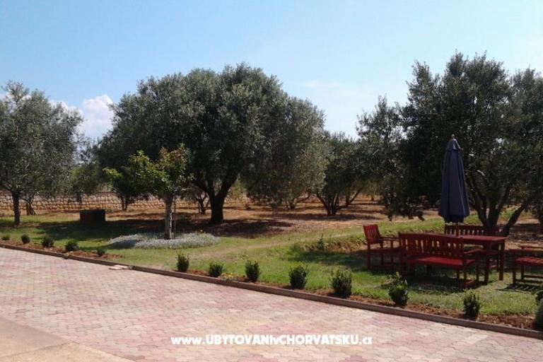 Apartmány Vesna a Ante – foto 11