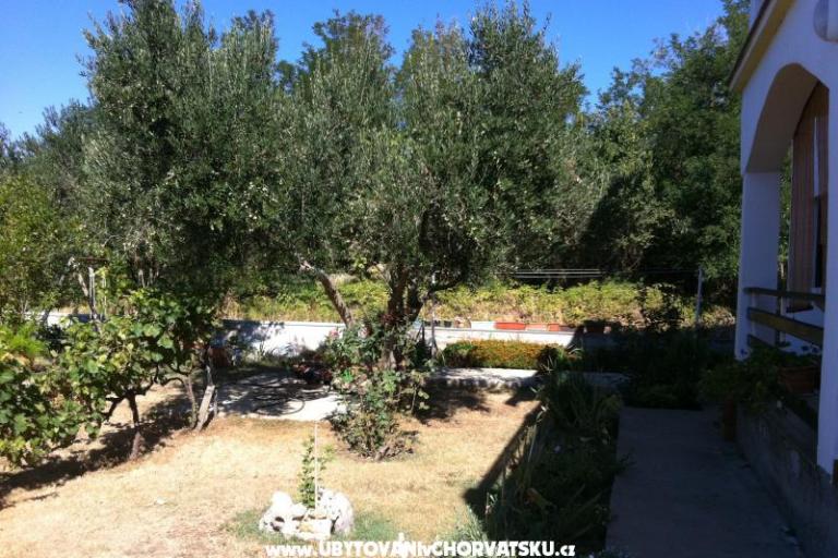 Apartmány Ivan – foto 14