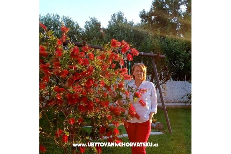 Apartmány Lantana – foto 16