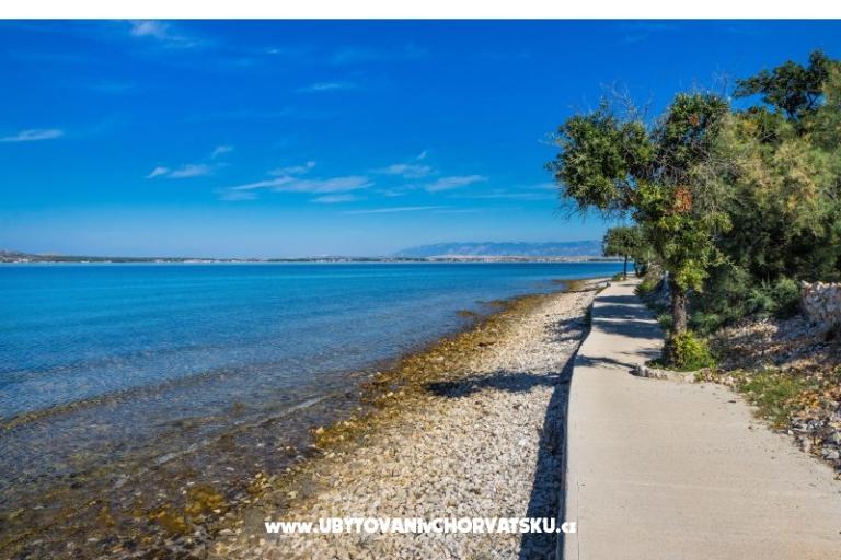 Apartmány Punta – foto 8