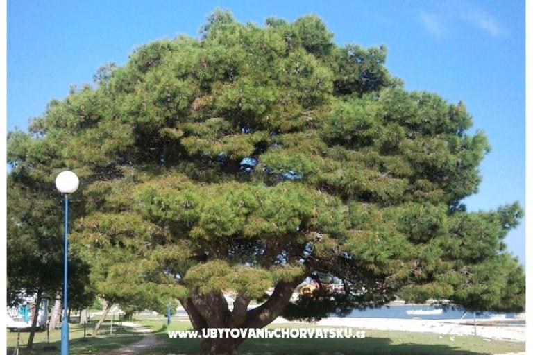 Apartmány Šarić – foto 10