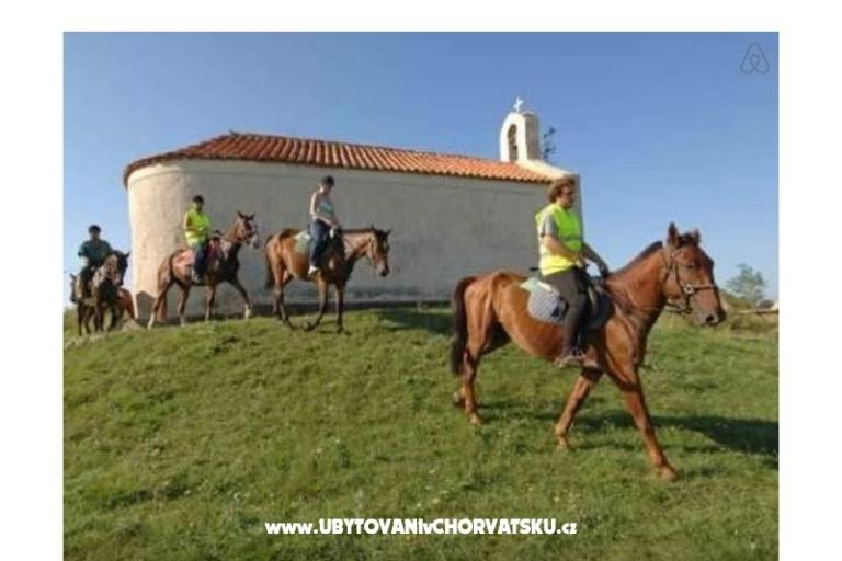 Apartmány Šarić – foto 9