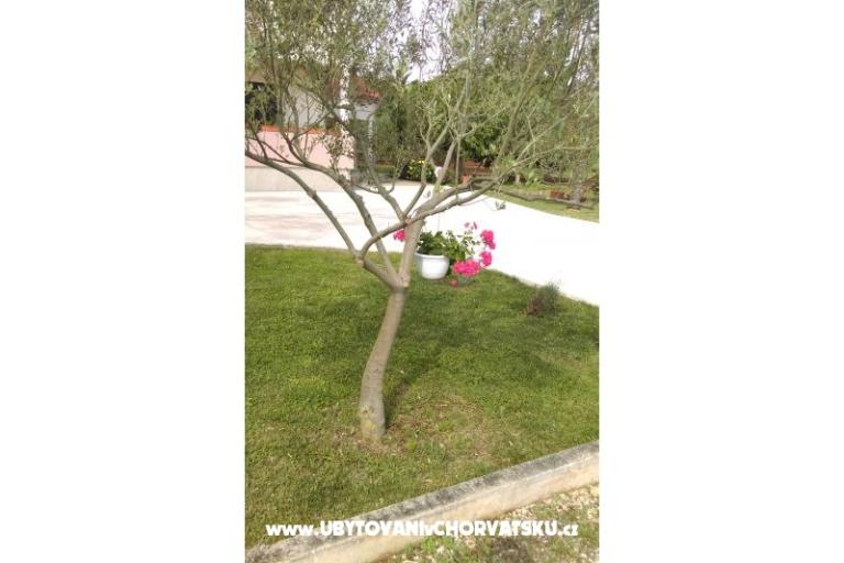 Apartmány Tomi – foto 12