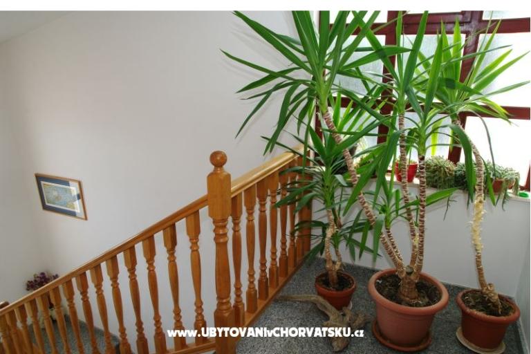 Apartmány Mario – foto 9