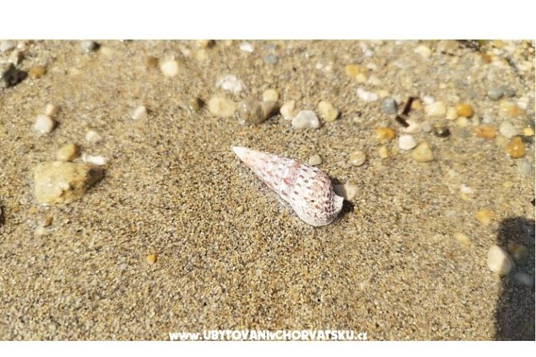 Apartmány Liljana Ledinko – foto 22