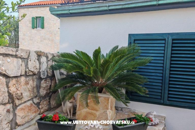 Apartmány Liljana Ledinko – foto 9