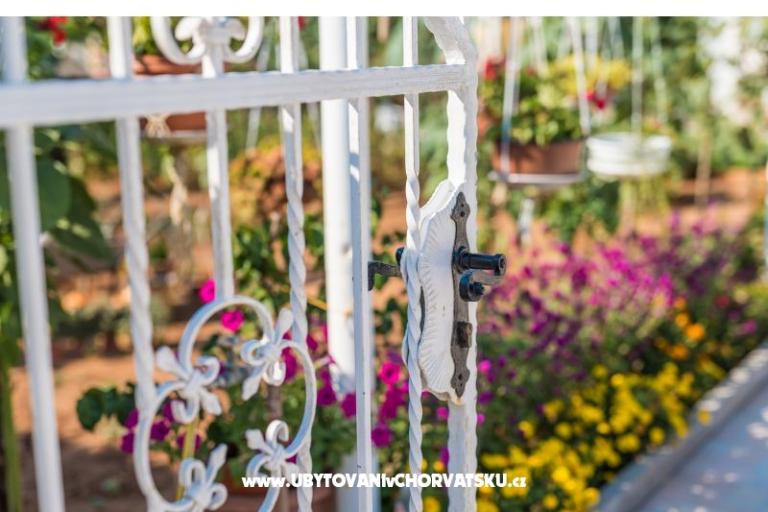 Apartmány Loznica – foto 13