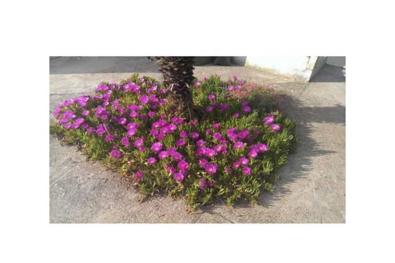 Apartmány Šime – foto 10