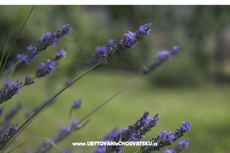 Apartmán Lu&amp;Li – foto 18