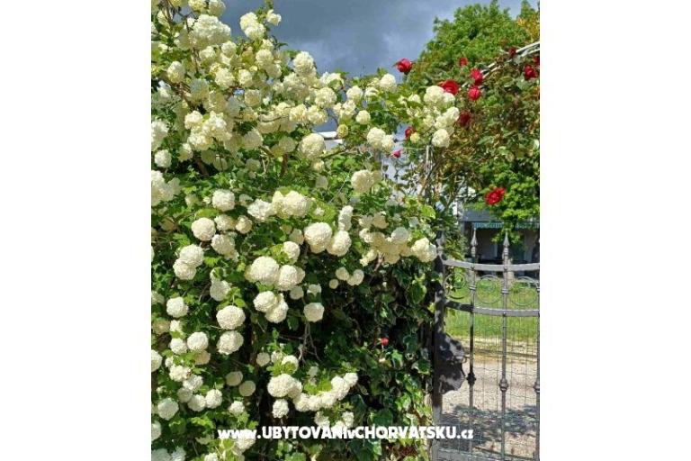 Apartmán Križan – foto 13