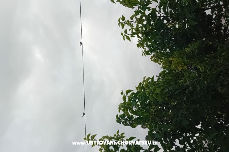 Apartmán Križan – foto 19