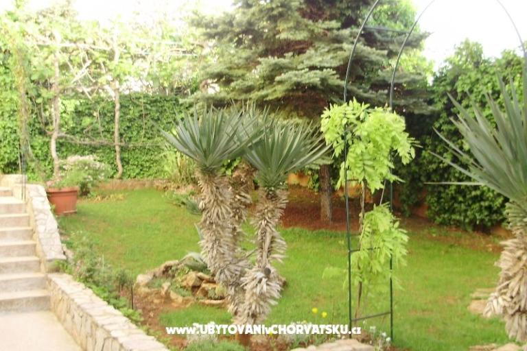 Apartmán Pinzan – foto 10