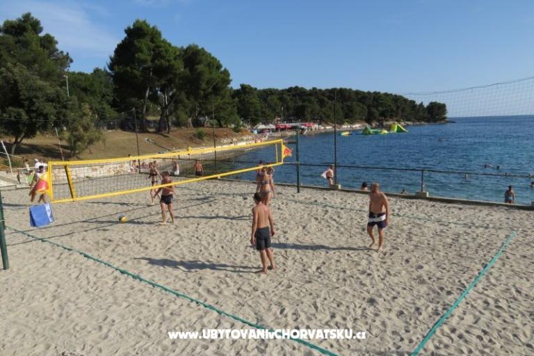 Apartmán Stoja – foto 12