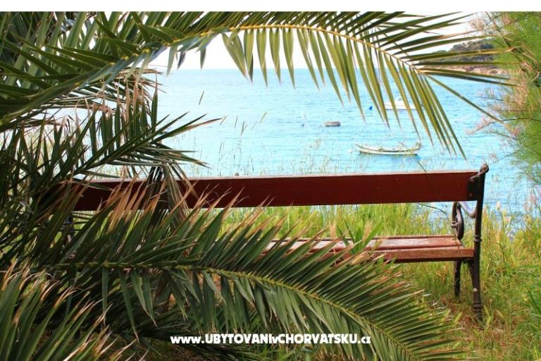 Apartmán Viktorija – foto 9