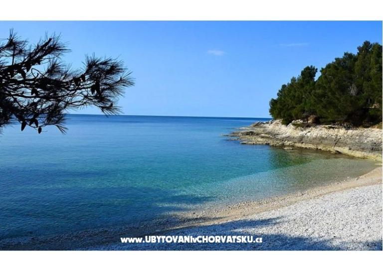 Apartmán Viktorija – foto 10